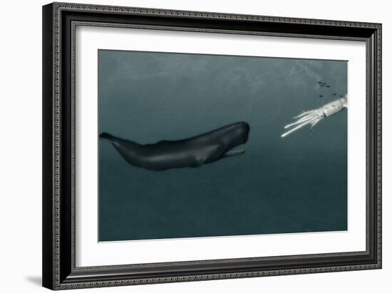 Sperm Whale And Giant Squid-Christian Darkin-Framed Photographic Print