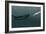 Sperm Whale And Giant Squid-Christian Darkin-Framed Photographic Print