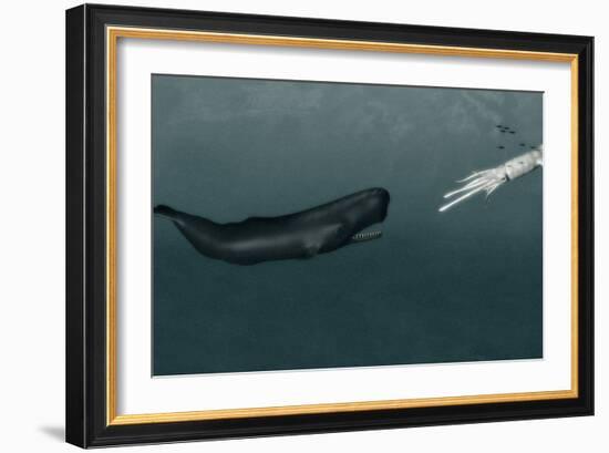 Sperm Whale And Giant Squid-Christian Darkin-Framed Photographic Print