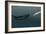 Sperm Whale And Giant Squid-Christian Darkin-Framed Photographic Print