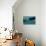 Sperm Whale And Giant Squid-Christian Darkin-Photographic Print displayed on a wall