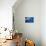 Sperm Whale Head-Reinhard Dirscherl-Photographic Print displayed on a wall