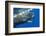 Sperm Whale Head-Reinhard Dirscherl-Framed Photographic Print