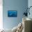 Sperm whale mother and calf,  Dominica, Caribbean Sea-Franco Banfi-Framed Premier Image Canvas displayed on a wall