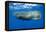 Sperm Whale (Physeter Macrocephalus)-Reinhard Dirscherl-Framed Premier Image Canvas