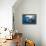 Sperm Whale (Physeter Macrocephalus)-Reinhard Dirscherl-Framed Premier Image Canvas displayed on a wall