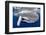 Sperm whale  with fully open mouth, Dominica, Caribbean Sea-Franco Banfi-Framed Photographic Print