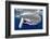 Sperm whale  with fully open mouth, Dominica, Caribbean Sea-Franco Banfi-Framed Photographic Print