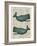 Sperm Whale-Tina Carlson-Framed Art Print