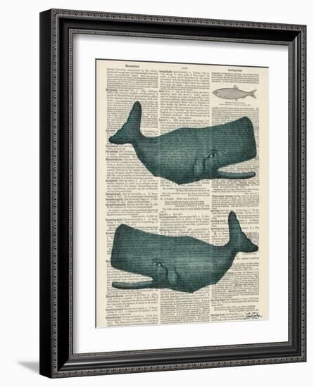 Sperm Whale-Tina Carlson-Framed Art Print