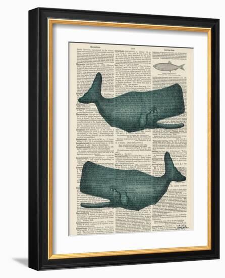 Sperm Whale-Tina Carlson-Framed Art Print