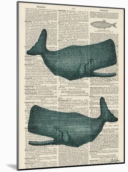 Sperm Whale-Tina Carlson-Mounted Art Print