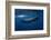 Sperm Whale-Barathieu Gabriel-Framed Photographic Print