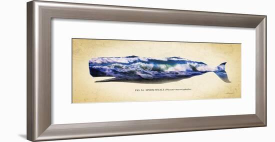 Sperm Whale-Alan Hausenflock-Framed Art Print