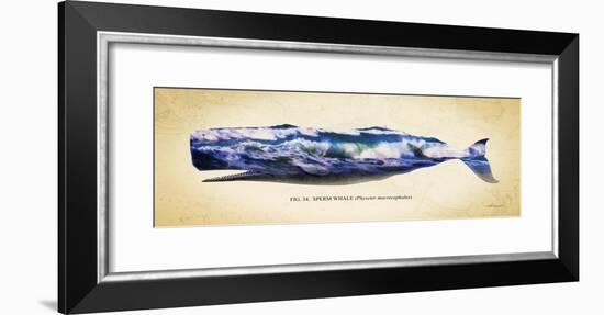 Sperm Whale-Alan Hausenflock-Framed Art Print