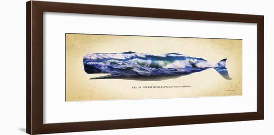 Sperm Whale-Alan Hausenflock-Framed Art Print
