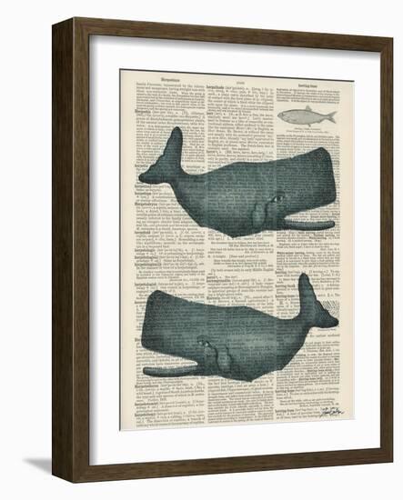 Sperm Whale-Tina Carlson-Framed Art Print