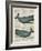 Sperm Whale-Tina Carlson-Framed Art Print