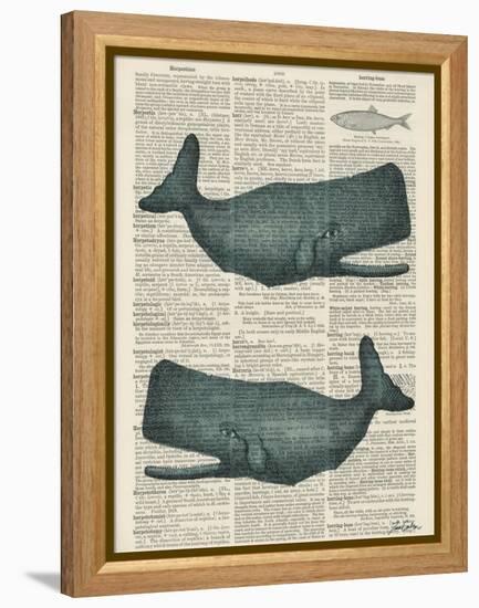 Sperm Whale-Tina Carlson-Framed Stretched Canvas