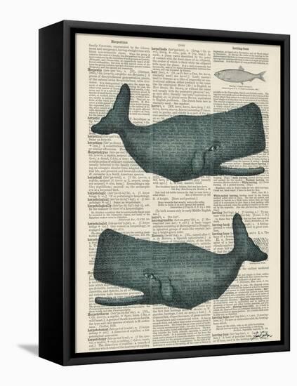 Sperm Whale-Tina Carlson-Framed Stretched Canvas