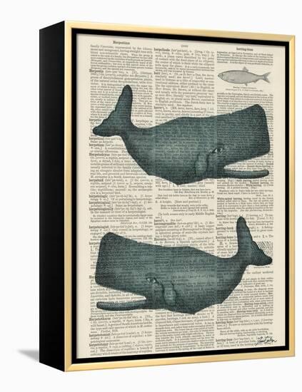 Sperm Whale-Tina Carlson-Framed Stretched Canvas