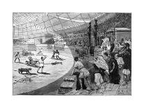 Entertainment in a Roman Arena, 1882-1884-Spex-Mounted Giclee Print