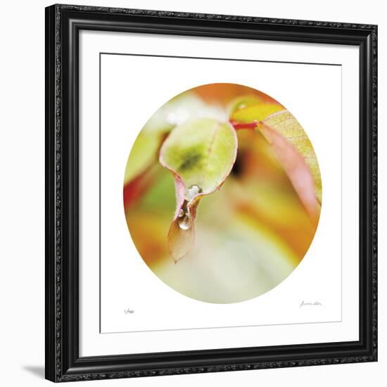 Sphere 1-Florence Delva-Framed Giclee Print