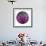 Sphere 3-Florence Delva-Framed Giclee Print displayed on a wall