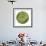 Sphere 4-Florence Delva-Framed Giclee Print displayed on a wall