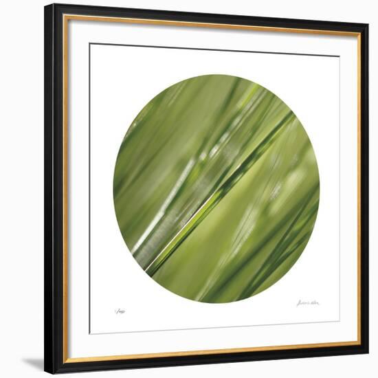 Sphere 4-Florence Delva-Framed Giclee Print