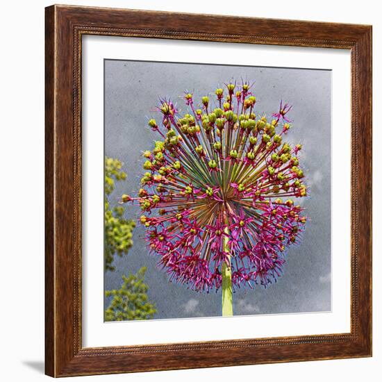 Sphere-Heidi Bannon-Framed Photo