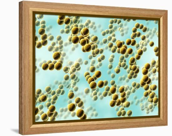 Spherical Bacteria-David Mack-Framed Premier Image Canvas