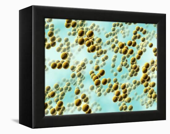 Spherical Bacteria-David Mack-Framed Premier Image Canvas
