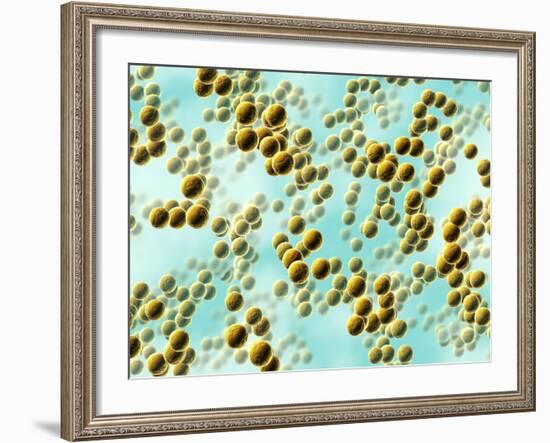 Spherical Bacteria-David Mack-Framed Photographic Print