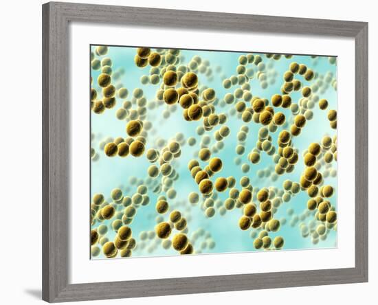 Spherical Bacteria-David Mack-Framed Photographic Print