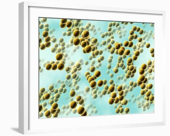 Spherical Bacteria-David Mack-Framed Photographic Print