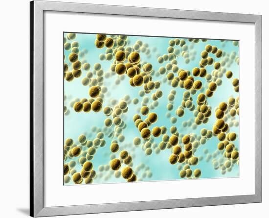 Spherical Bacteria-David Mack-Framed Photographic Print