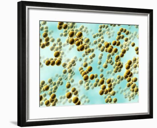 Spherical Bacteria-David Mack-Framed Photographic Print