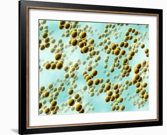 Spherical Bacteria-David Mack-Framed Photographic Print