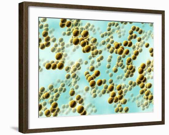Spherical Bacteria-David Mack-Framed Photographic Print