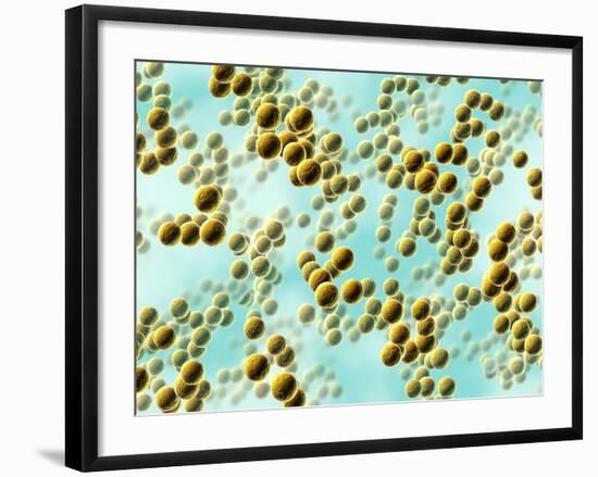 Spherical Bacteria-David Mack-Framed Photographic Print