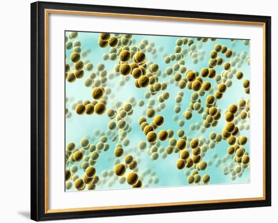 Spherical Bacteria-David Mack-Framed Photographic Print