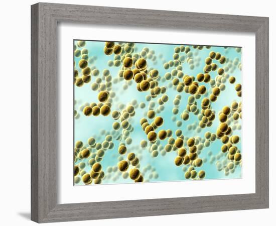 Spherical Bacteria-David Mack-Framed Photographic Print