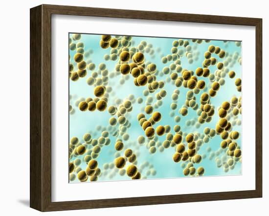 Spherical Bacteria-David Mack-Framed Photographic Print