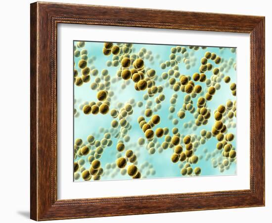 Spherical Bacteria-David Mack-Framed Photographic Print