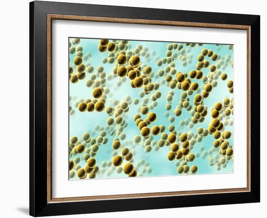 Spherical Bacteria-David Mack-Framed Photographic Print