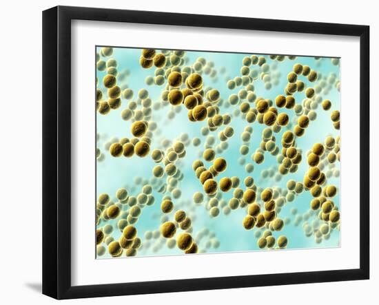 Spherical Bacteria-David Mack-Framed Photographic Print