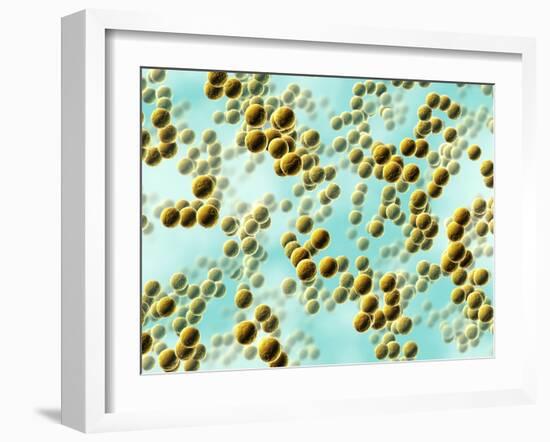 Spherical Bacteria-David Mack-Framed Photographic Print