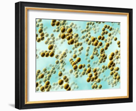 Spherical Bacteria-David Mack-Framed Photographic Print