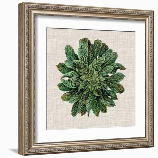 Spherical Leaves I-Vision Studio-Framed Art Print